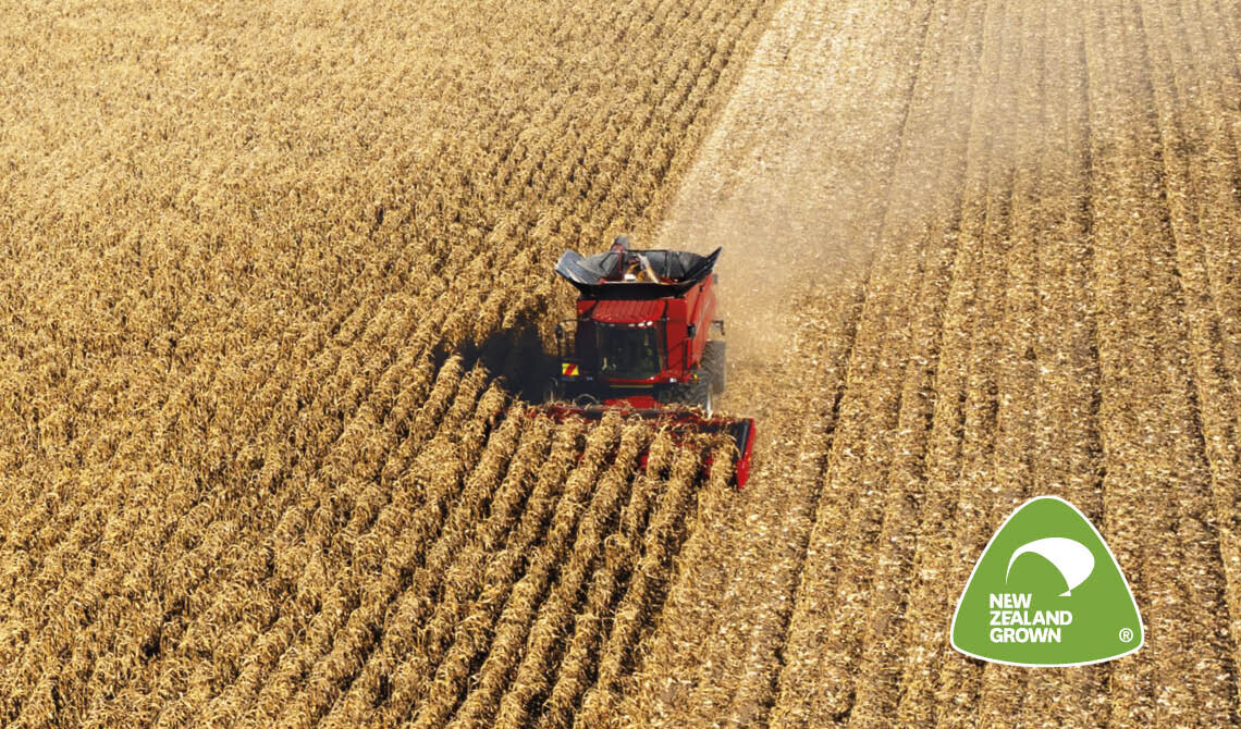 GT011 CI1 Maize Grain for dairy cows landing page comntent images 1140 x 670px_v14.jpg