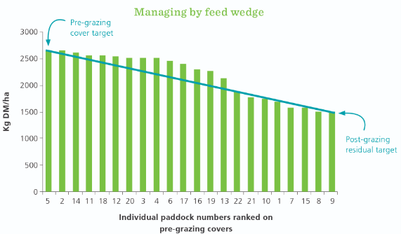 Managing my feed wedge wade article.png