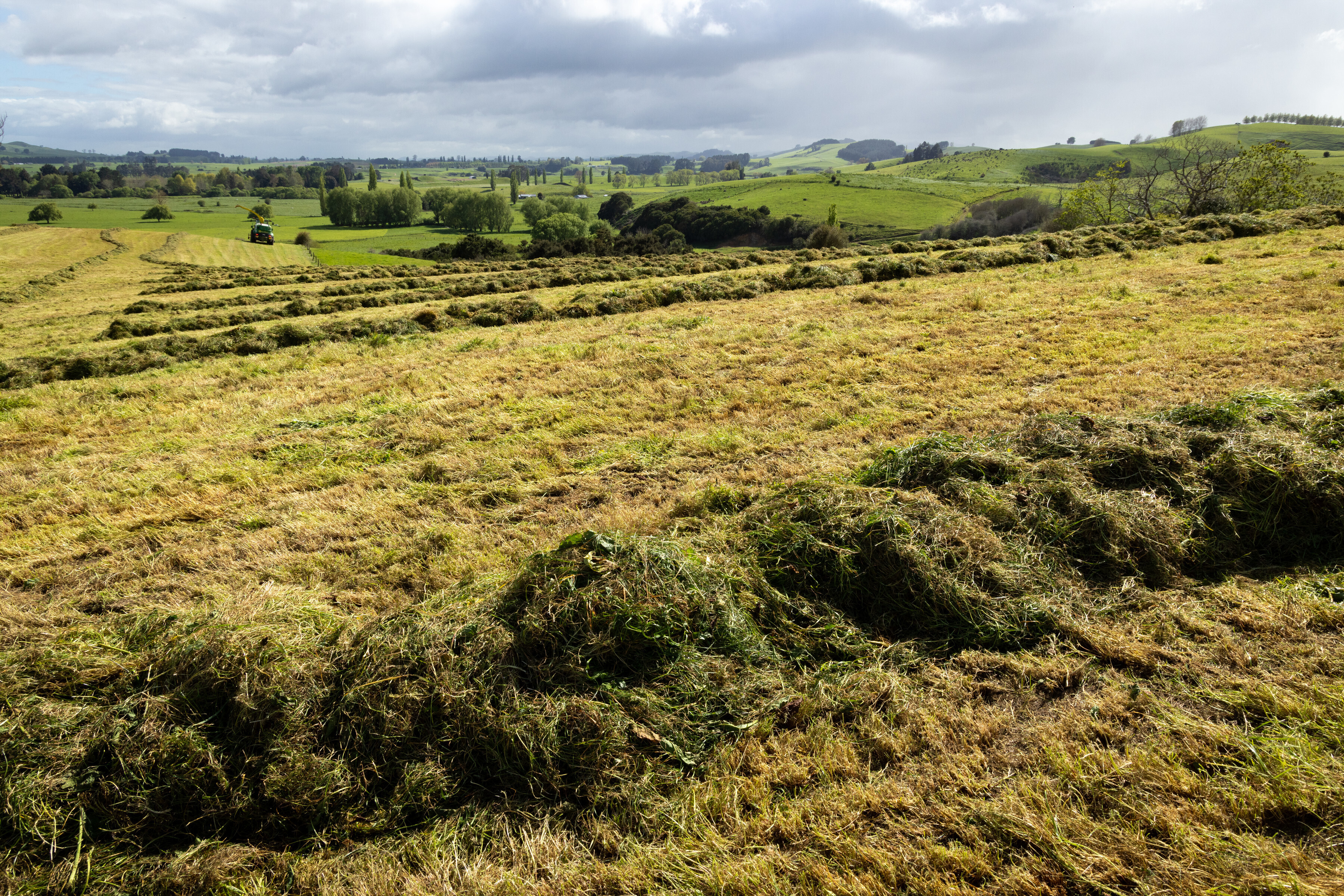 Conserving the most flexible feed