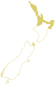 Hybrid Region Map