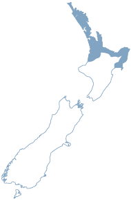 Hybrid Region Map