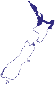 Hybrid Region Map