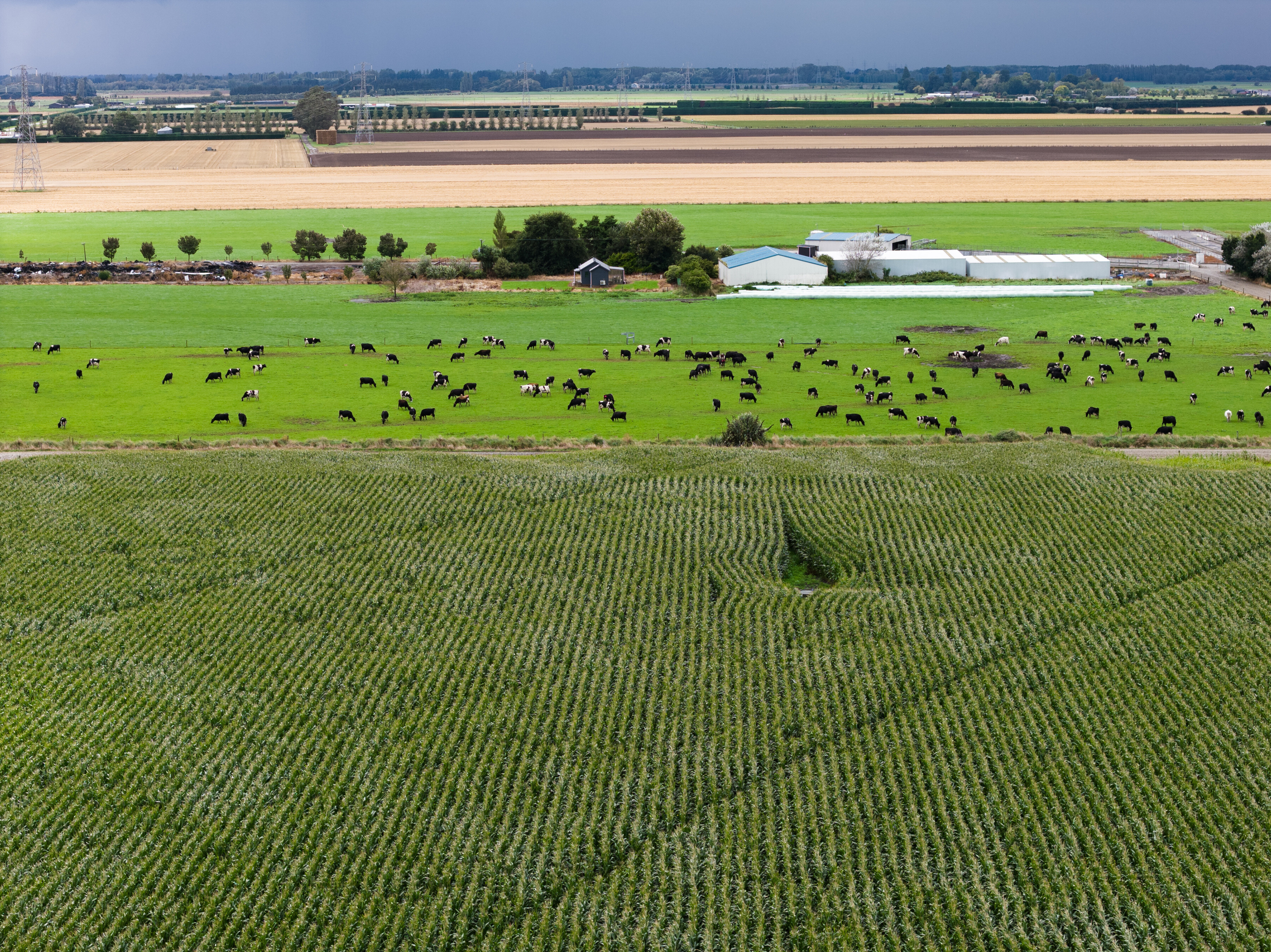 040_Pioneer_Silage_Lyle_Williams_Ashburton_2March2026_3600px.jpg