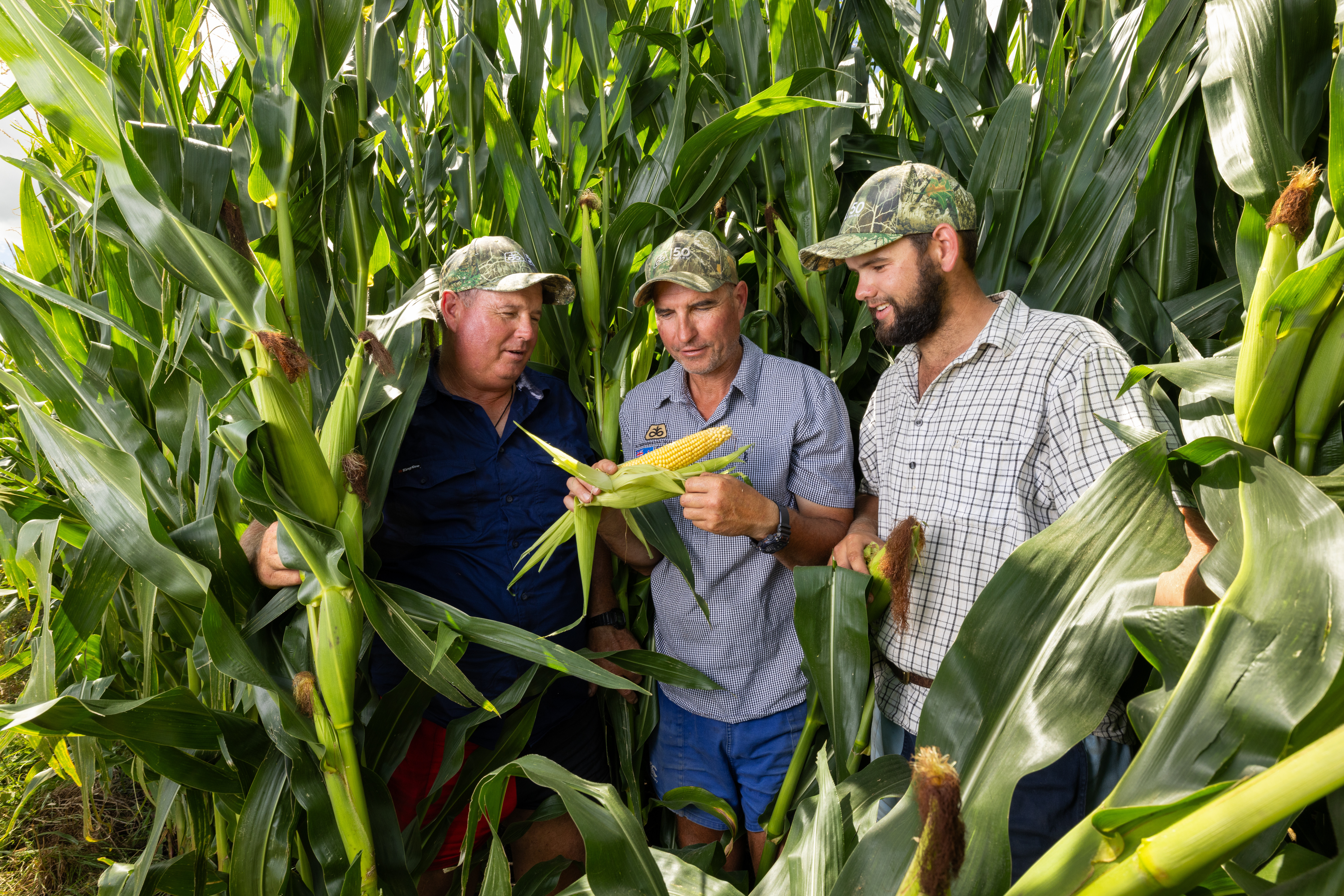 040_Pioneer_Maize_Grain_Stobie_Gordonton_30Jan2026.jpg