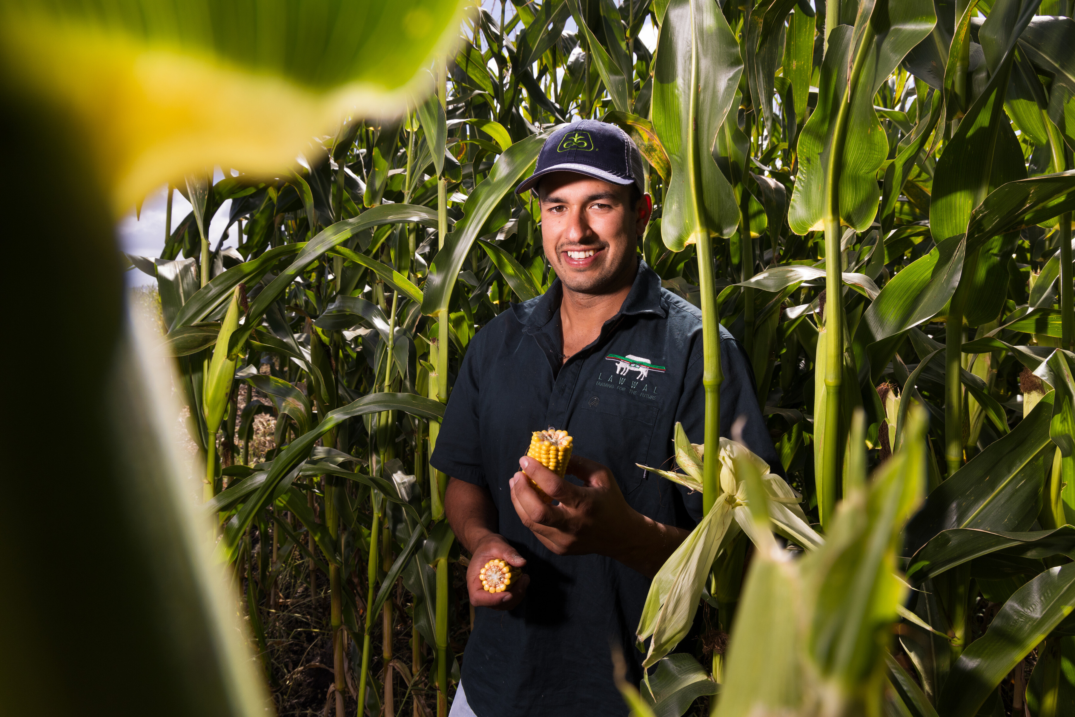 071_Pioneer_Silage_Singh_Whitikahu_31Jan2025_3600px.jpg