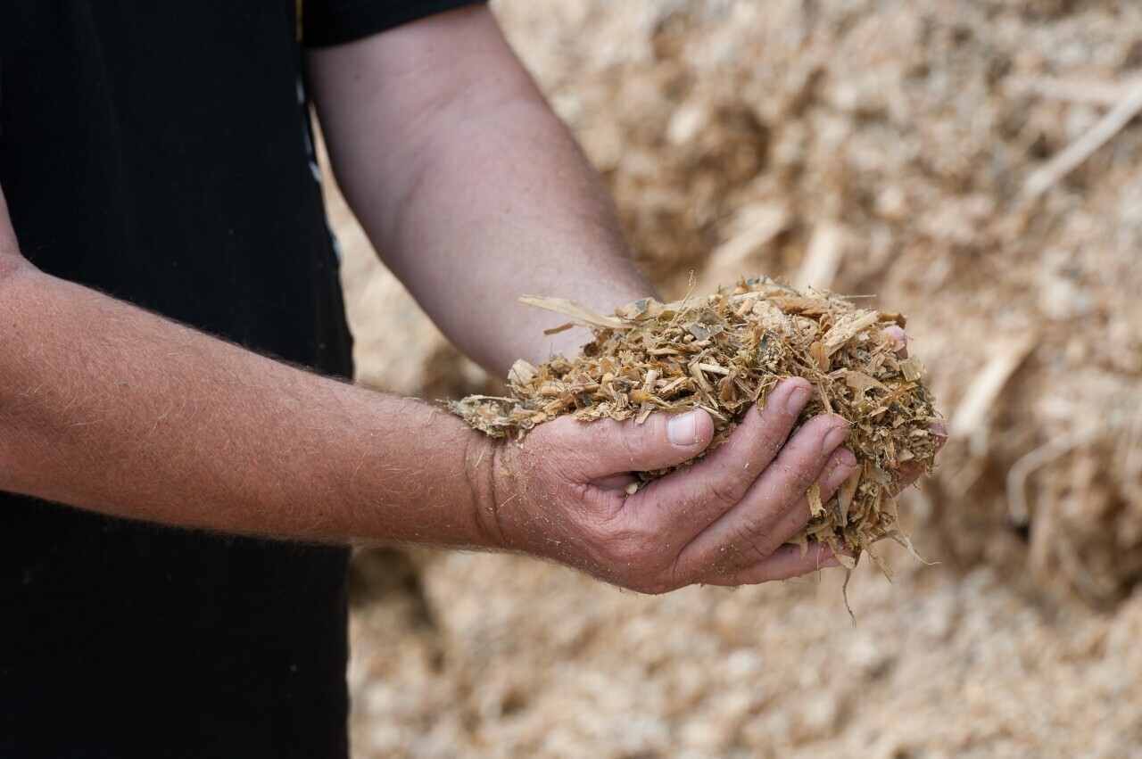 Why maize silage?