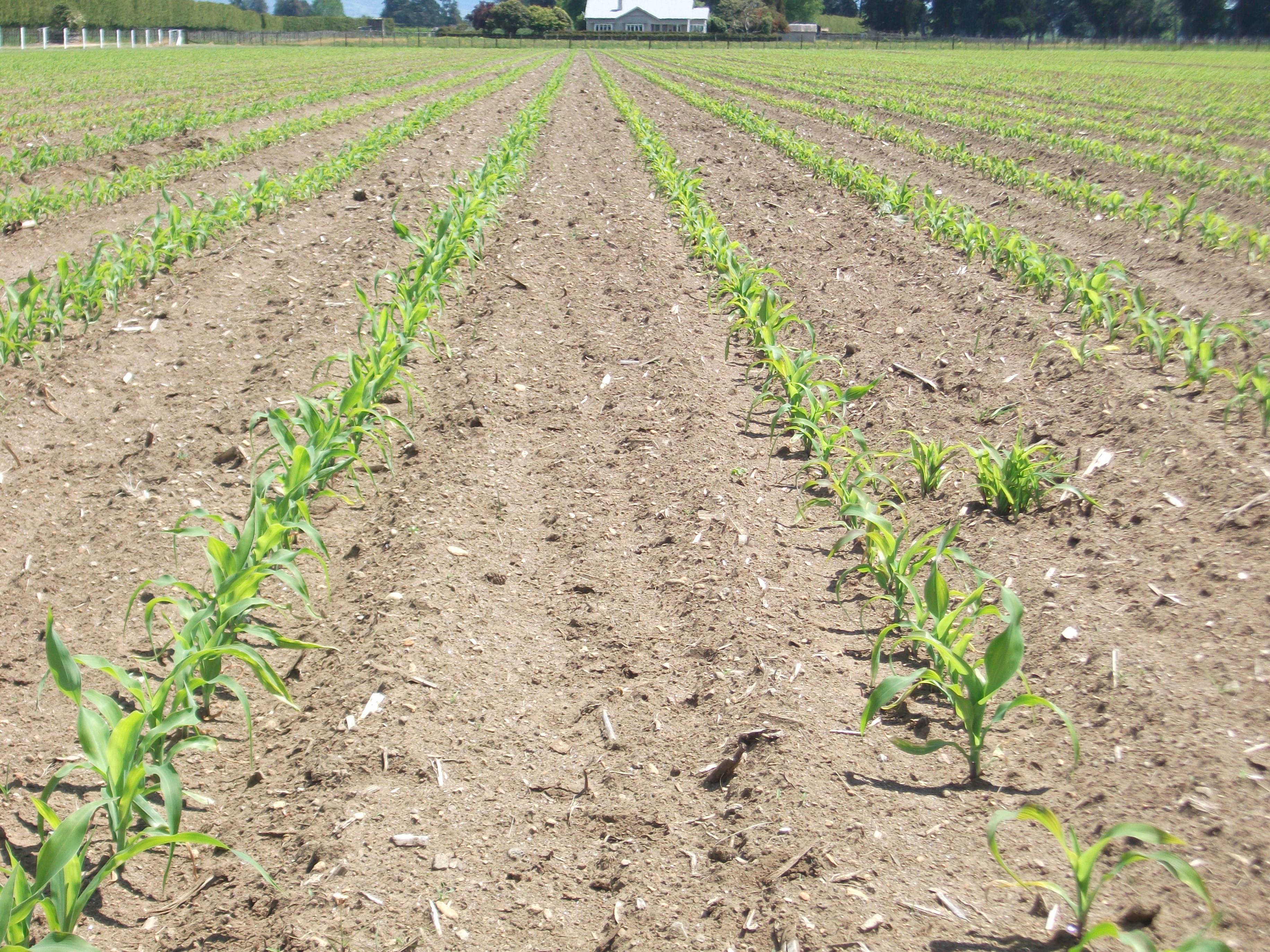 Getting your paddocks ready for planting